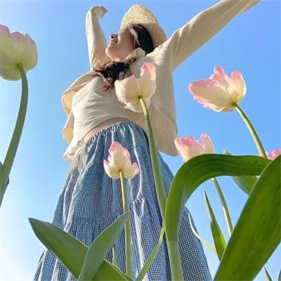 狗的审判
