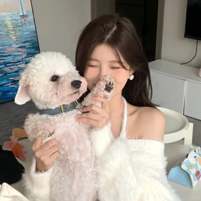 多芬丢失的项链